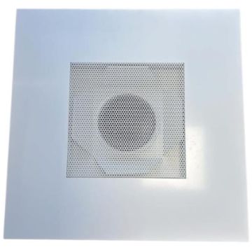 Geperforeerd plafondrooster (595x595mm) met uitneembaar front